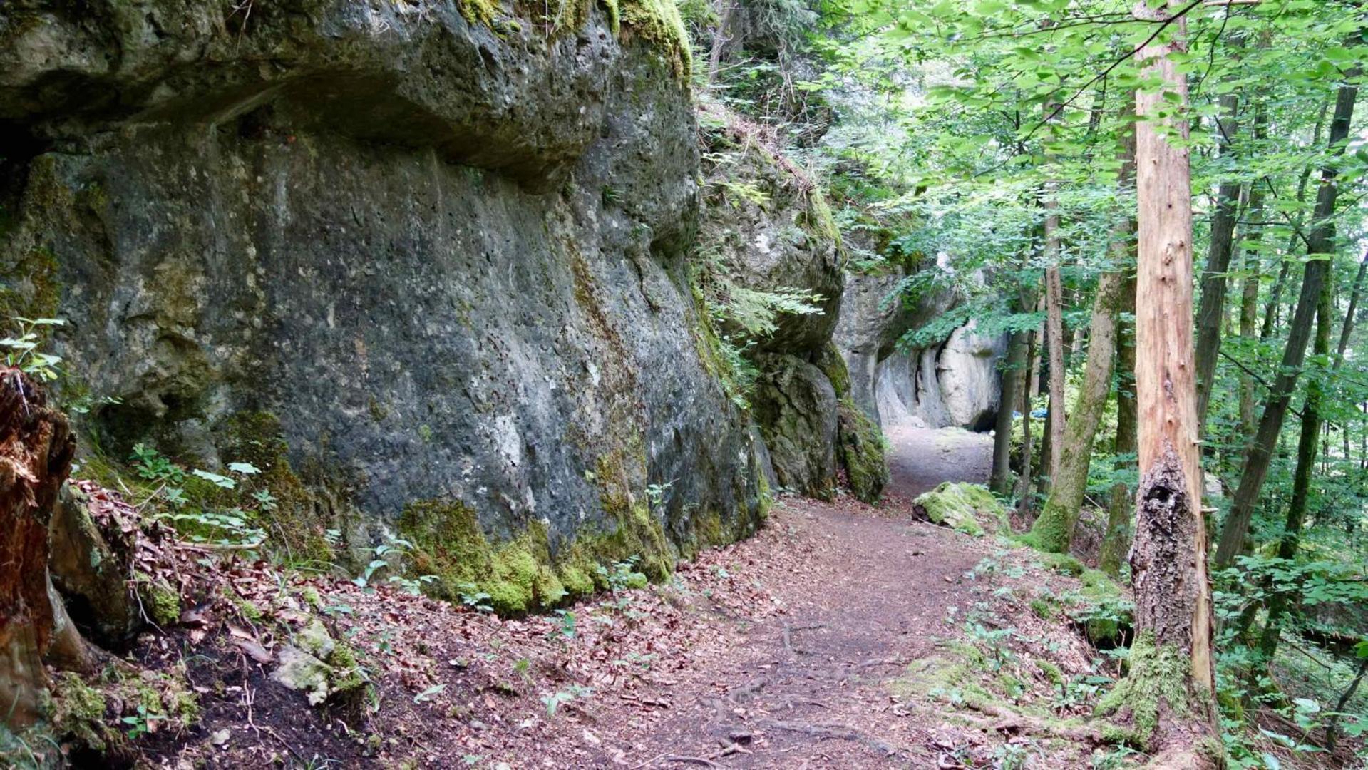Am Walberla / Fraenkische Schweiz